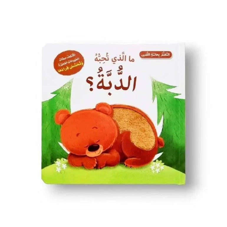 التعلم بحاسة اللمس – ما الذي تحبه الدبة