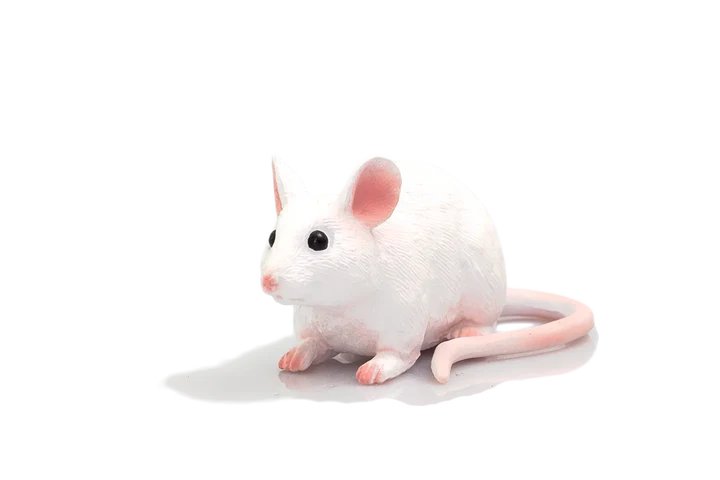 MOJO - Mouse
