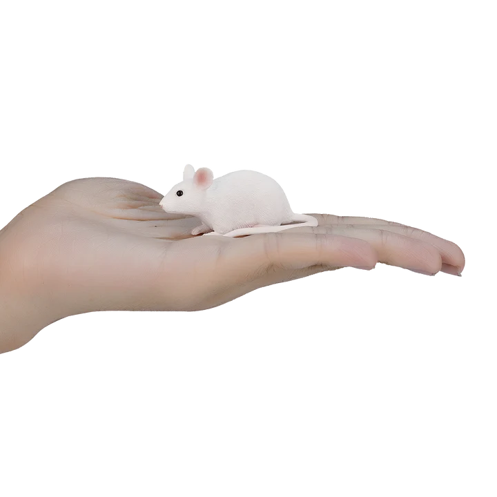 MOJO - Mouse