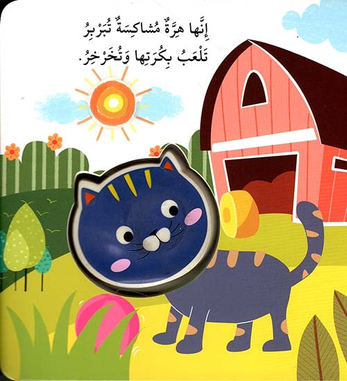 اضغطني تسمعني:الهرة