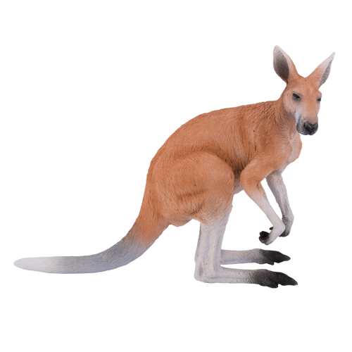 Kangaroo