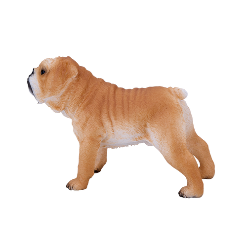 English Bulldog