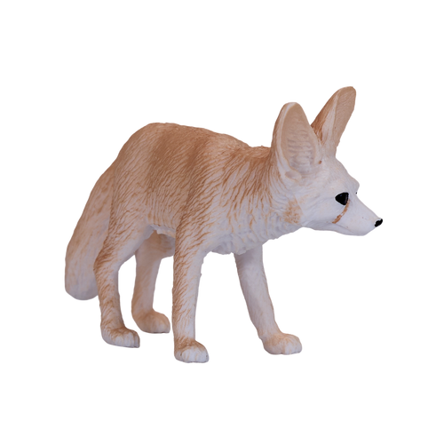 Fennec Fox