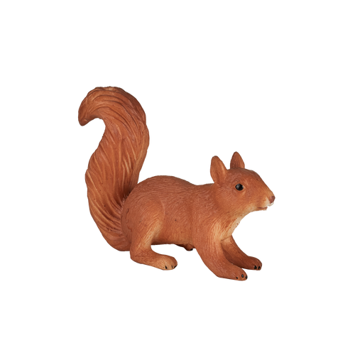 Squirrel running
