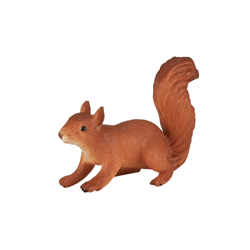 Squirrel running