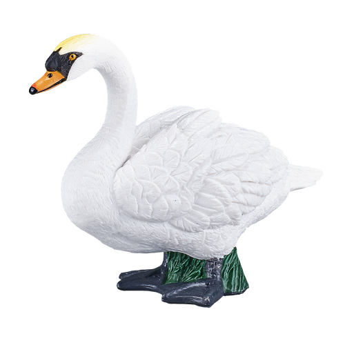 Mute Swan