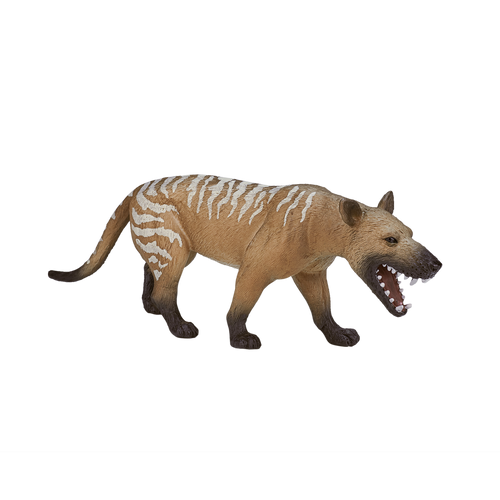 Hyaenodon Gigas