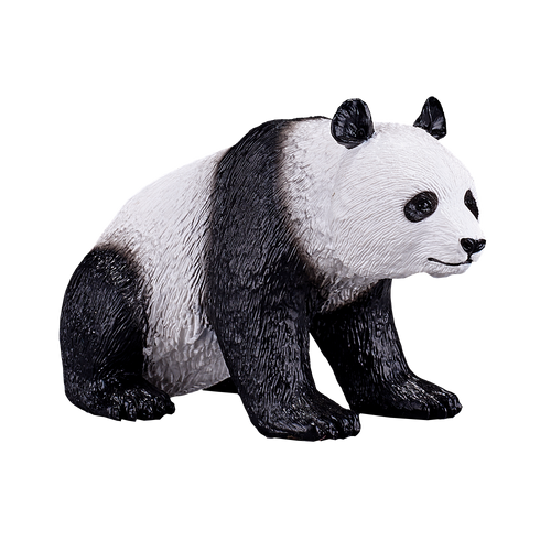Giant Panda