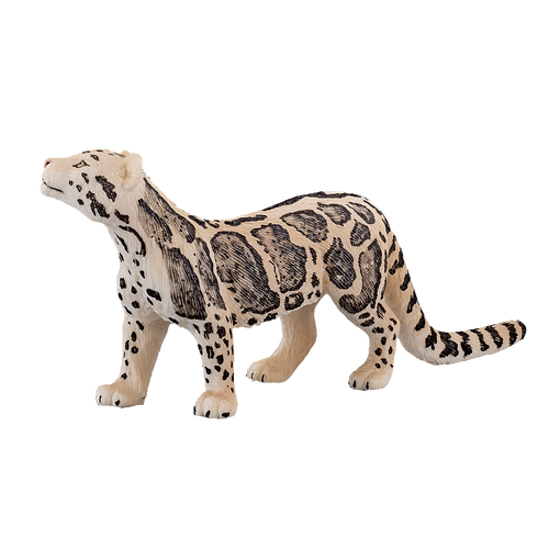 Clouded Leopard