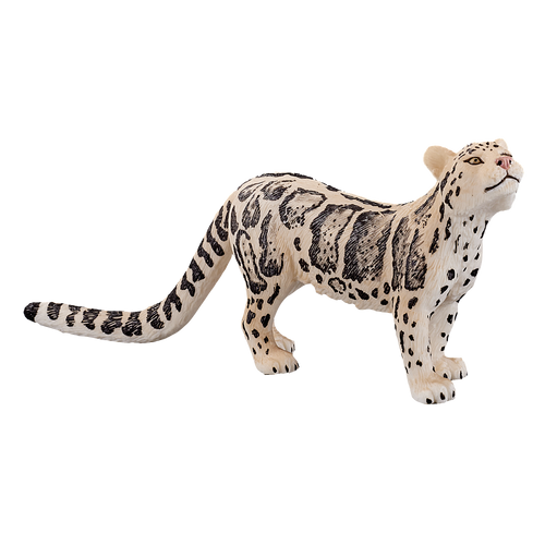 Clouded Leopard