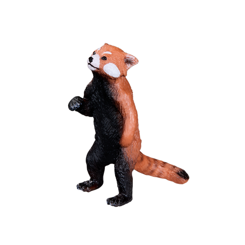 Red Panda