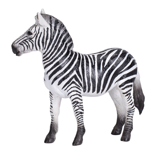 Zebra Mare