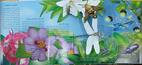 عالم الحشرات