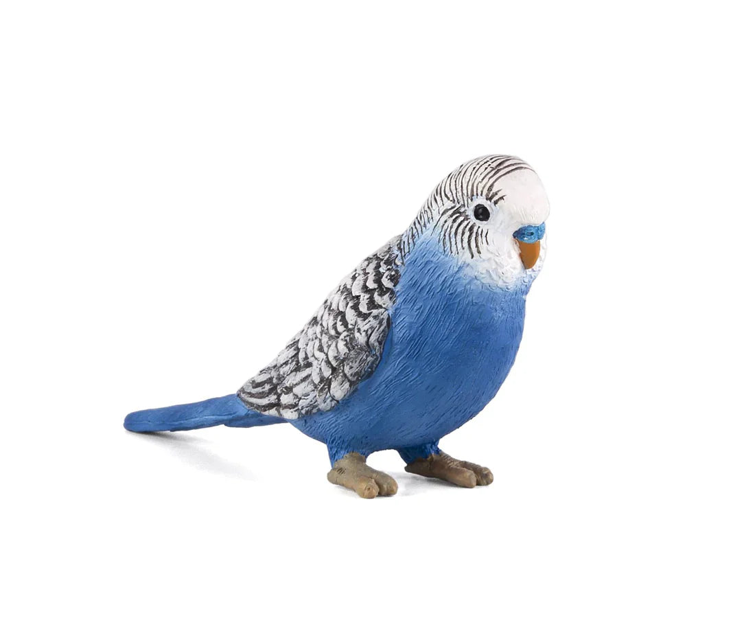 MOJO - BUDGERIGAR BLUE