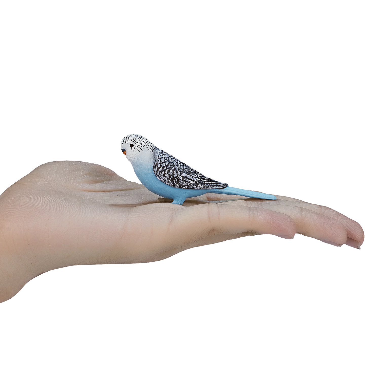MOJO - BUDGERIGAR BLUE