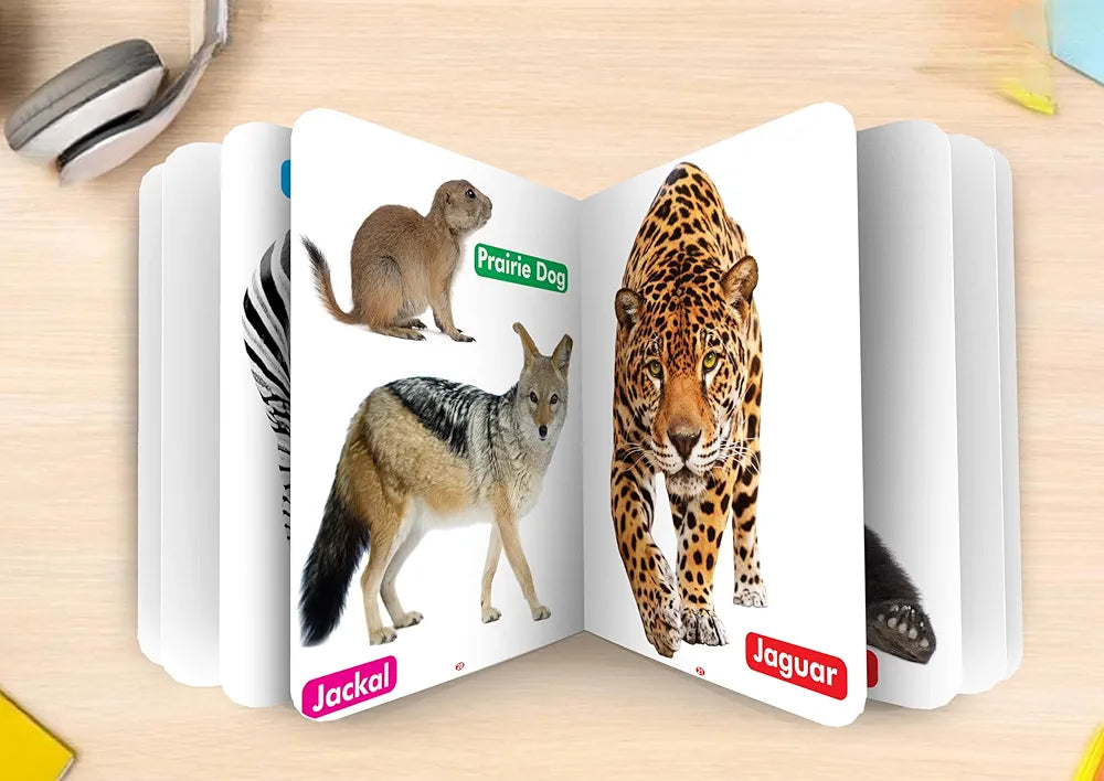 My First Board Book Of Big Picture Wild Animals