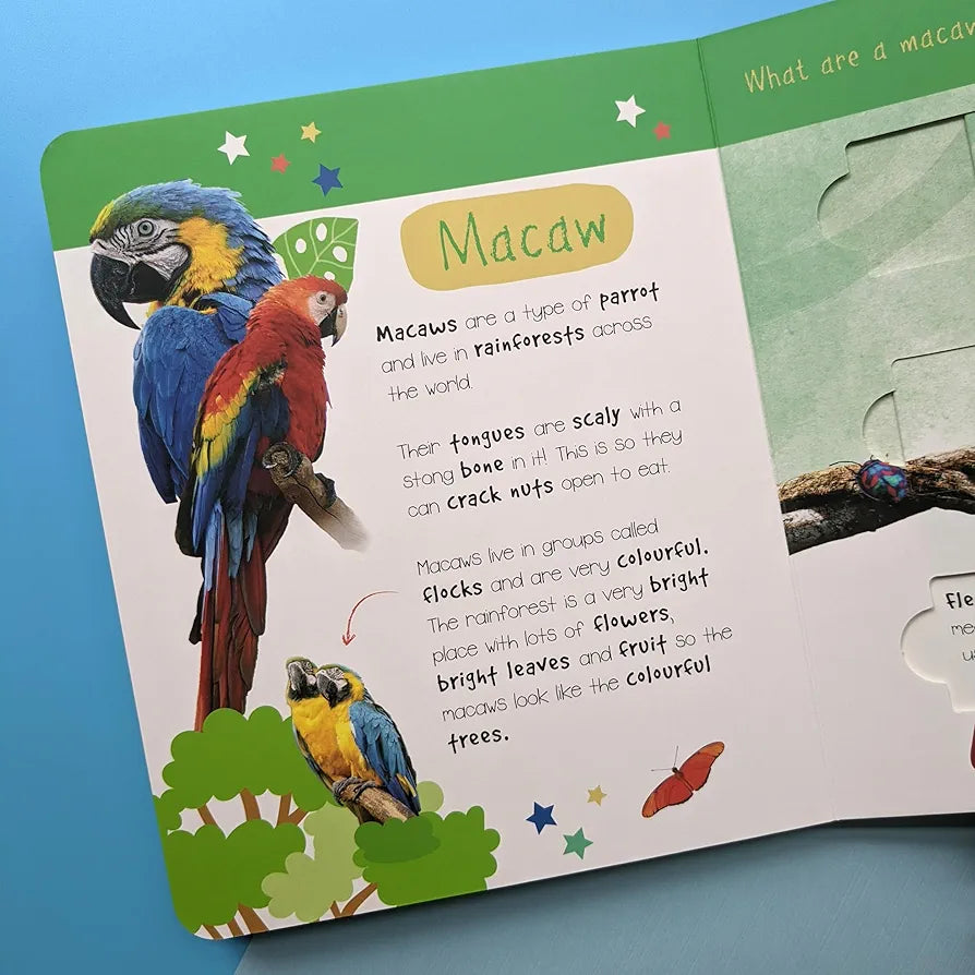 Jungle Animals - Who is Hiding in the Puzzle?