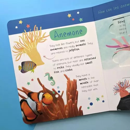 Ocean Animals - Who Is Hiding In The Puzzle