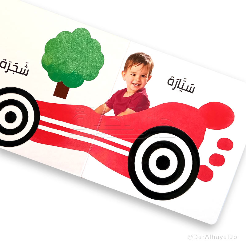 الرؤية ،اللمس ،الاحساس – الكلمات