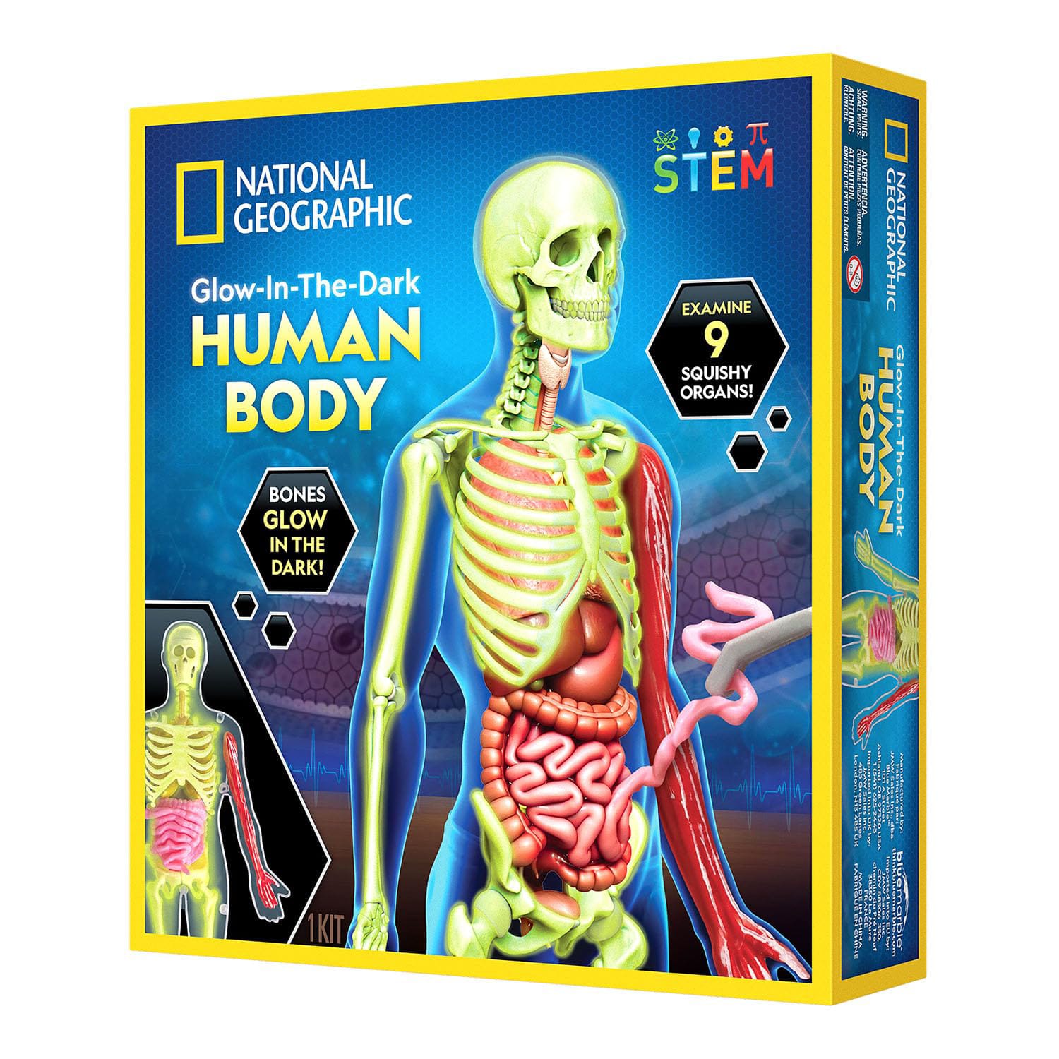 National Geographic - Glow-In-The-Dark Human Body