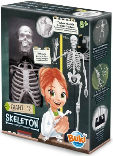 Buki France - Skeleton