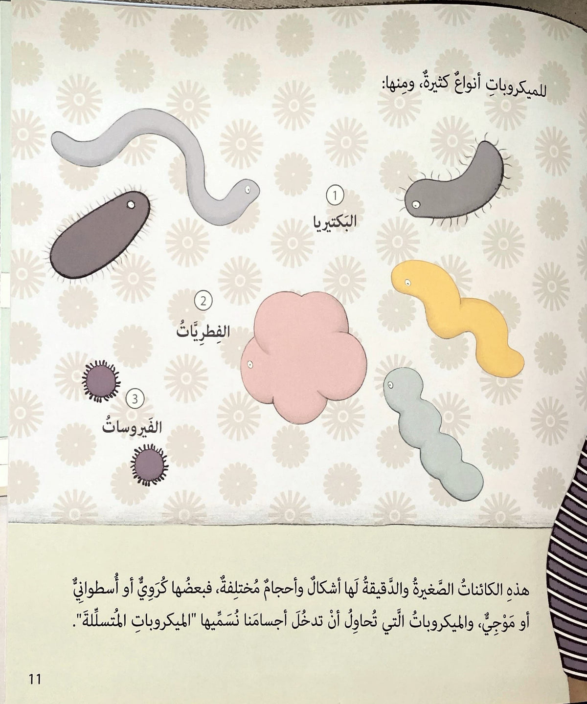 مشاكل وحلول - اهمية النظافة