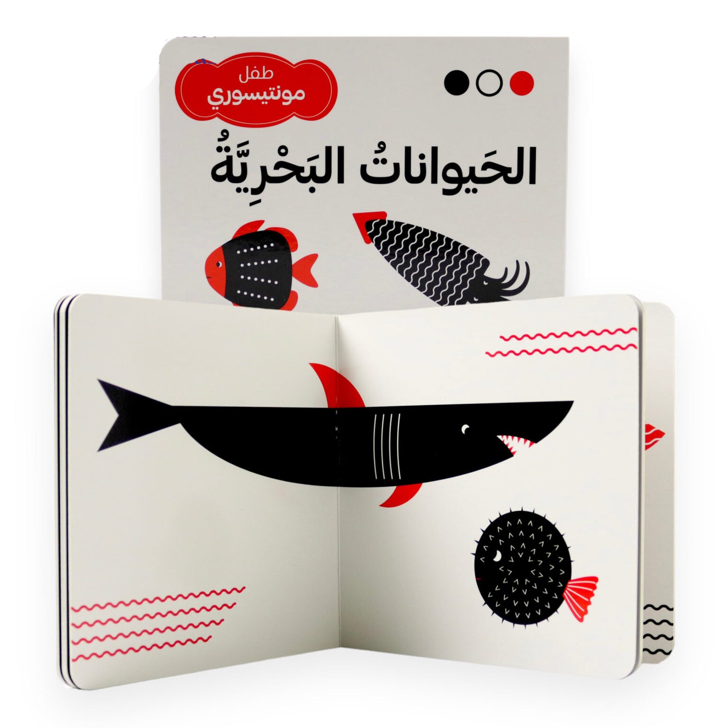 طفل مونتيسوري - الحيوانات البحرية