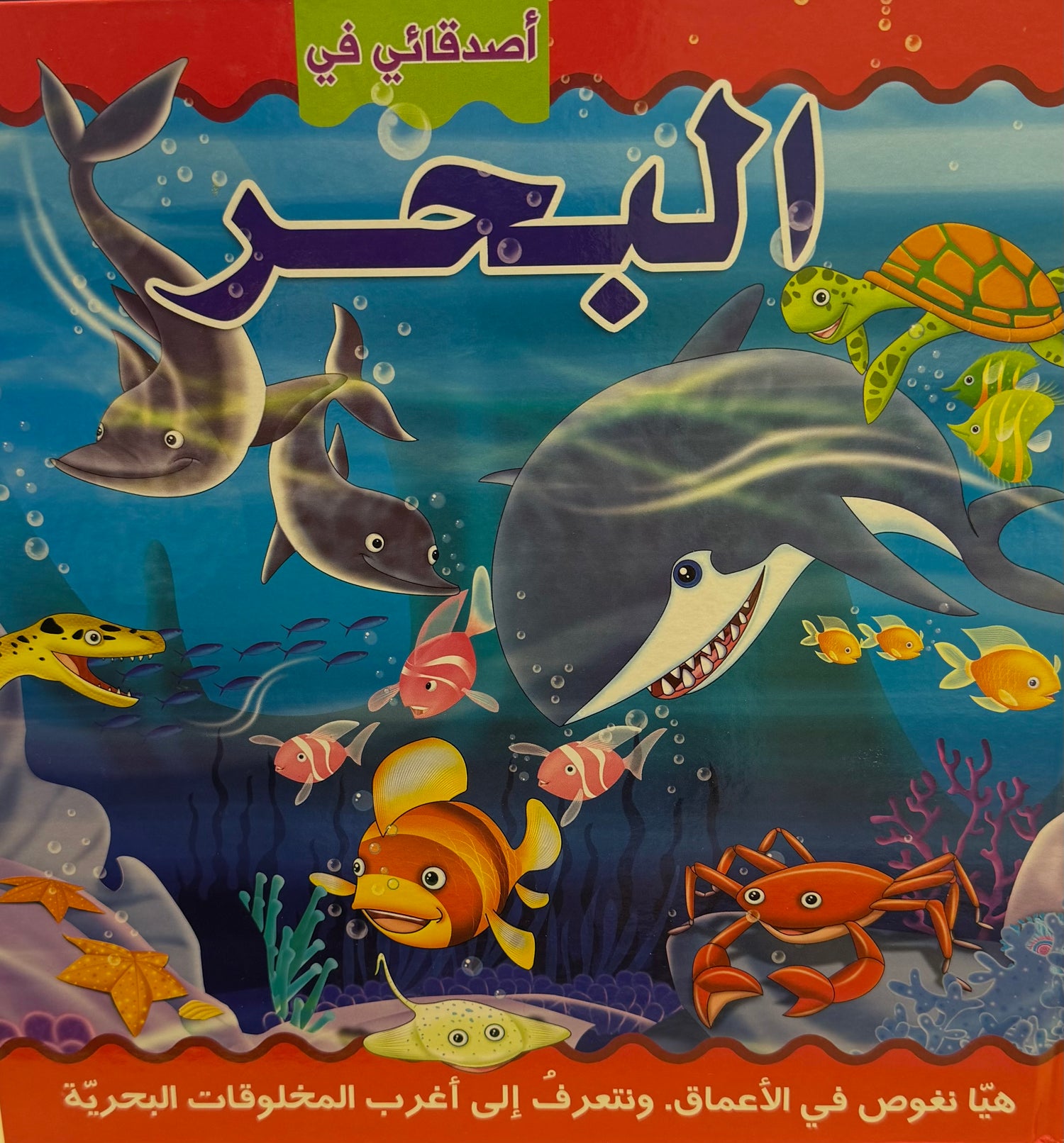 أصدقائي في البحر