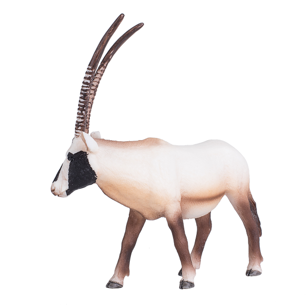 Arabian Oryx