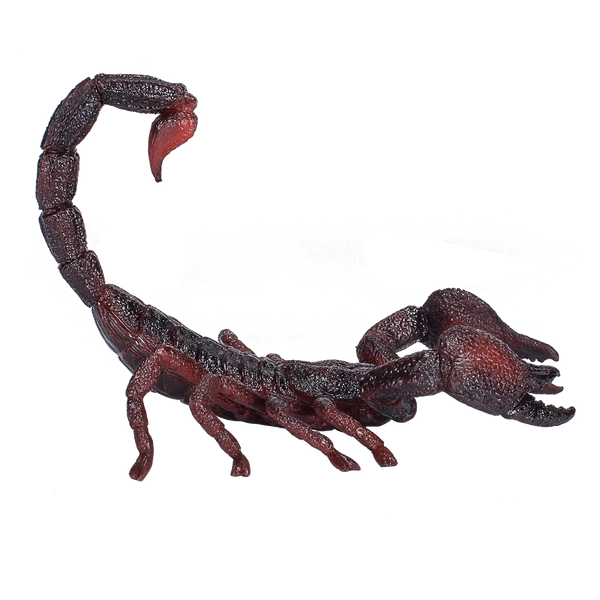 Emperor Scorpion