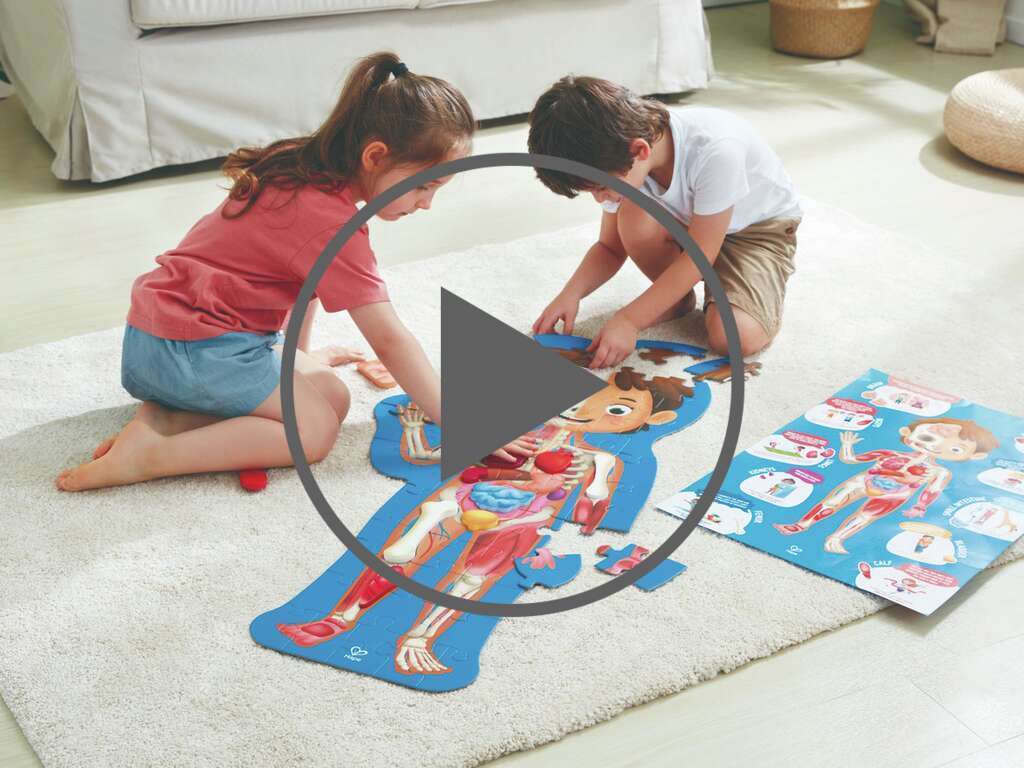 Hape - פאזל גוף האדם