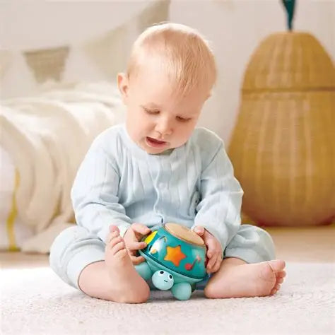 Hape Twist & Tune Turtle