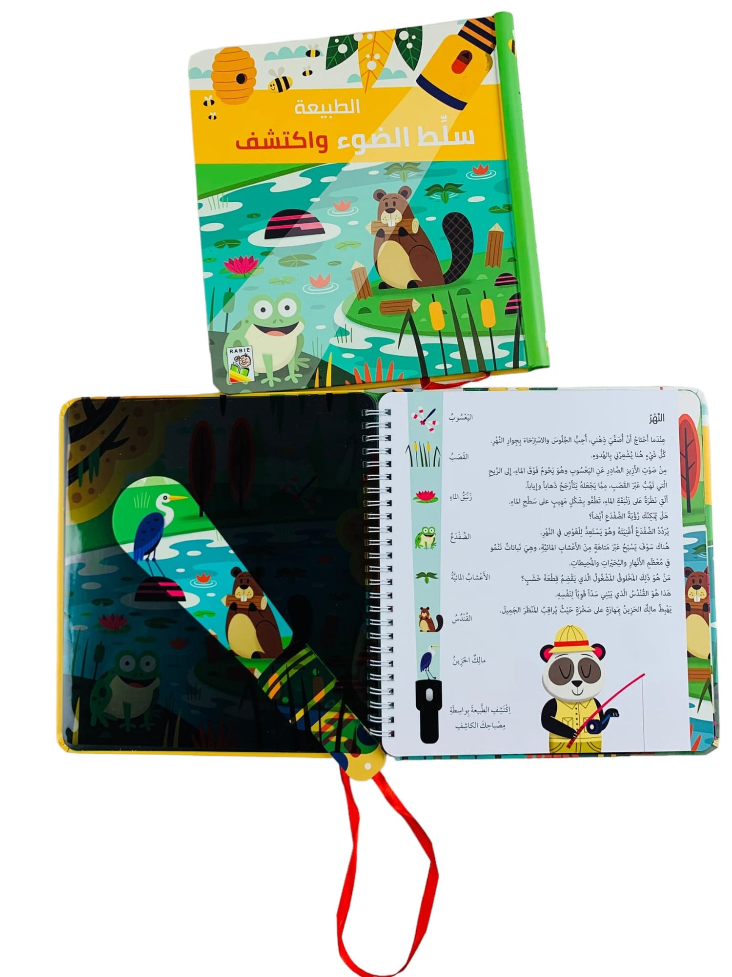 سلِّط الضوء واكتشف الطبيعة
