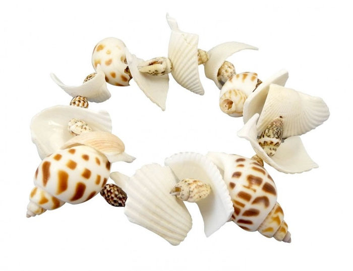 Buki France - Digkit Coquillges Shells
