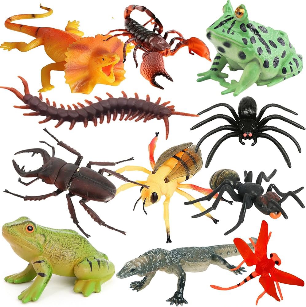 Inssects Reptiles