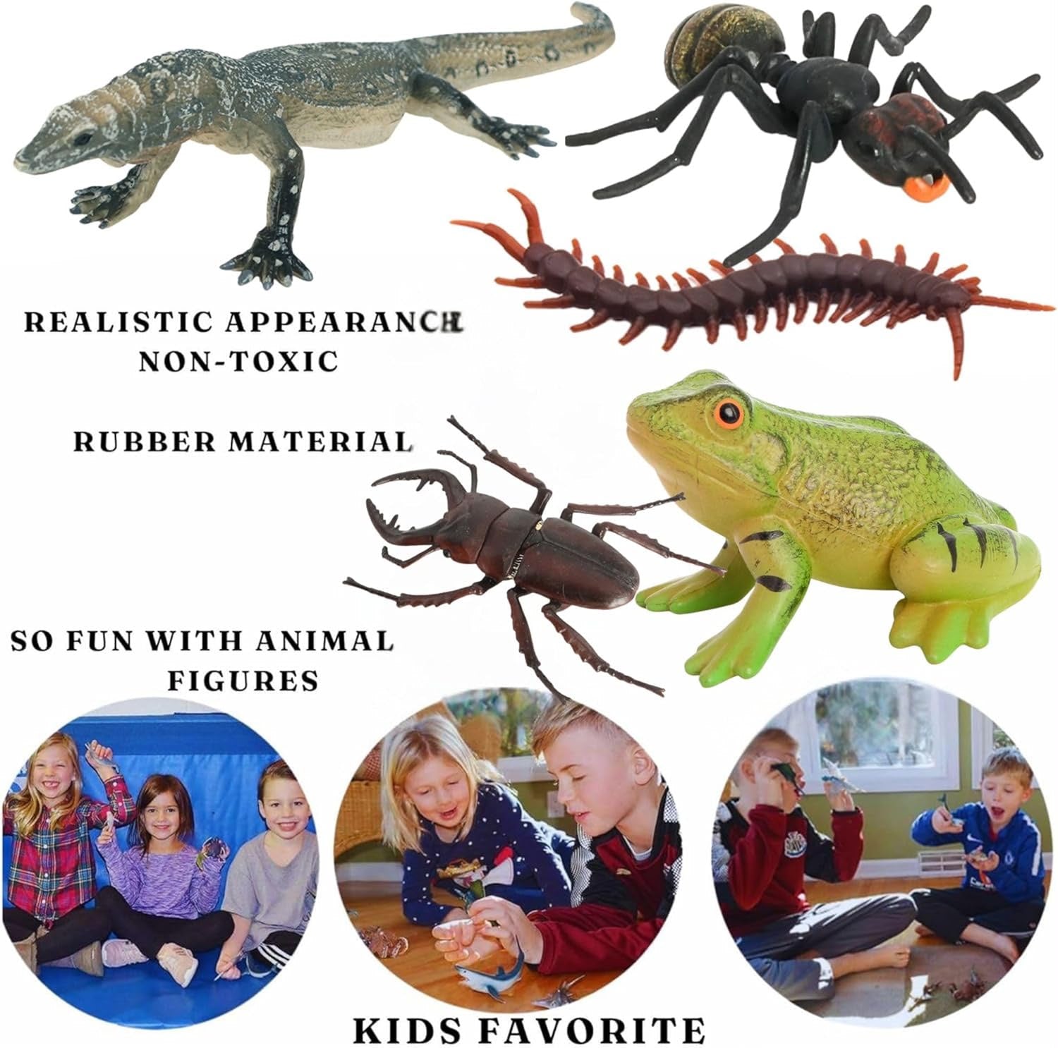 Inssects Reptiles