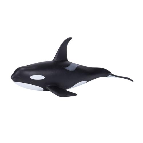MOJO - Orca Male