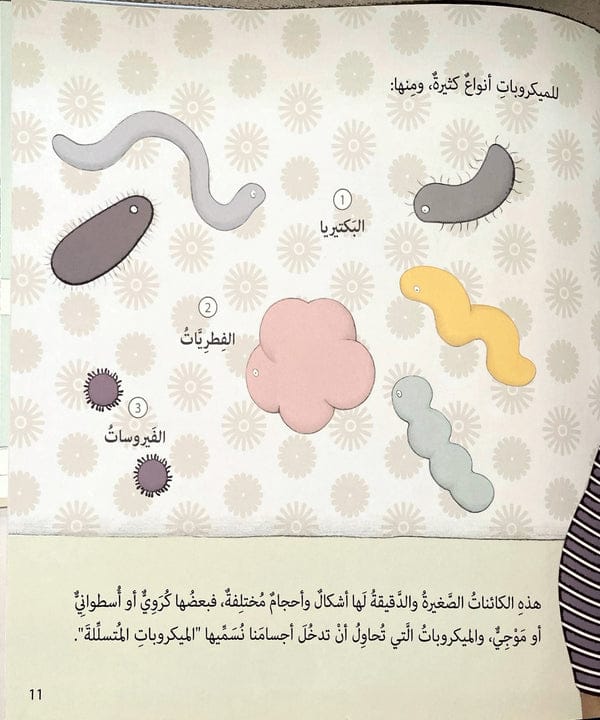 مشاكل وحلول - أهمية النظافة