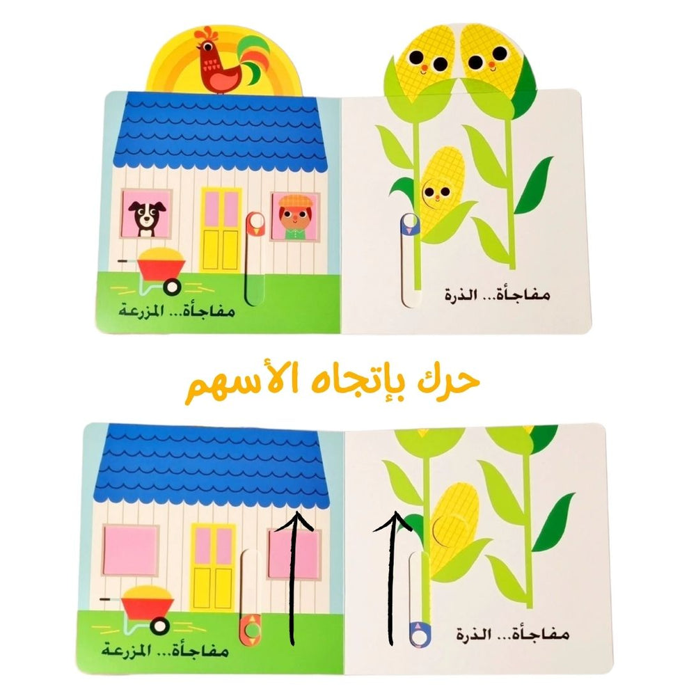نظرة خاطفة ومفاجآت - البقرة