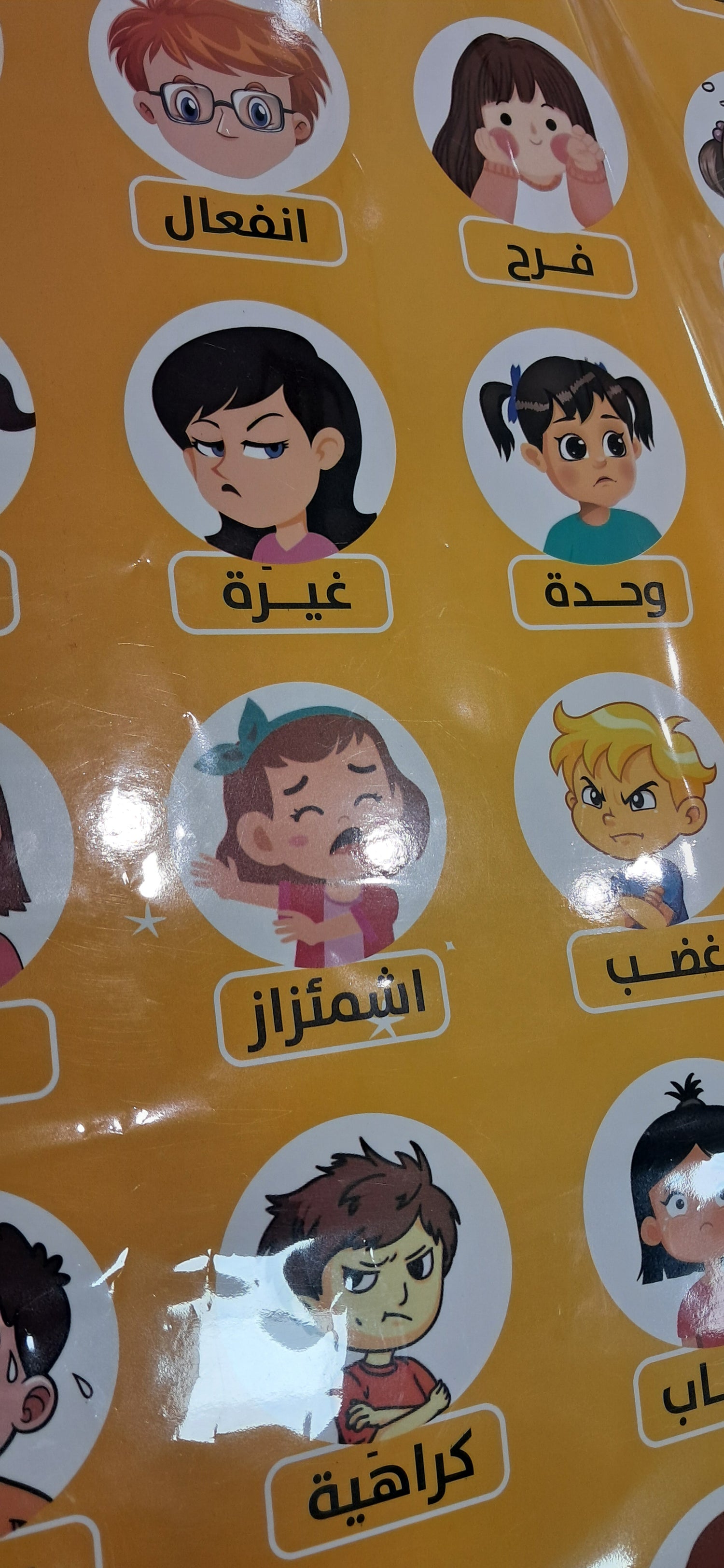 ذاكرة المشاعر